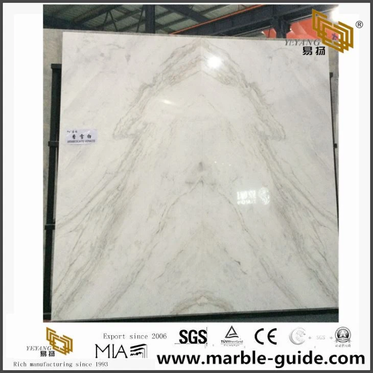 Polished Castro White for Vanity Top with High Quality