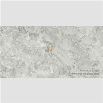 Matte Ambrosia Xám thiêu kết đá cho phòng tắm Decor